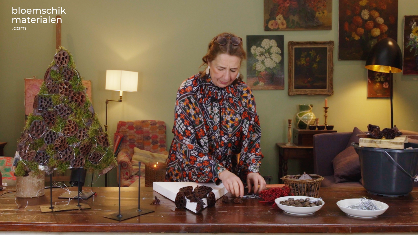 Kerstboom met eucalyptus & canella (Pakket)