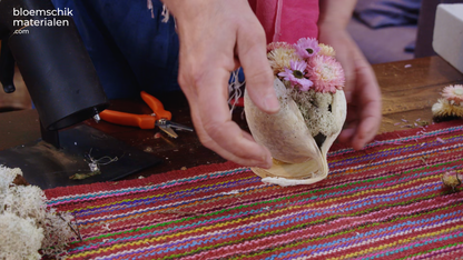 10 Budhanoten als Lente Decoratie