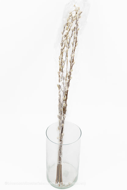 WILGENKATJES NATUREL 70-80CM 8ST