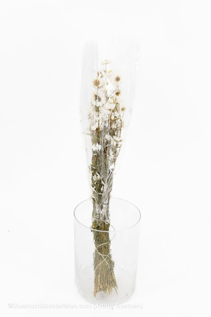 ACROCLINEUM WIT NATUREL - bloemschikmaterialen.com