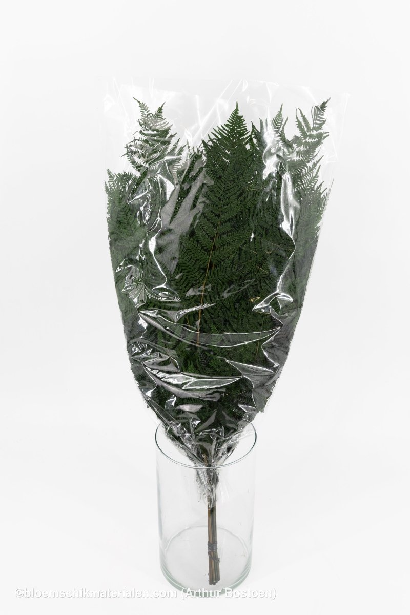 ADELAARSVAREN GECONSERVEERD GROEN 10ST - bloemschikmaterialen.com