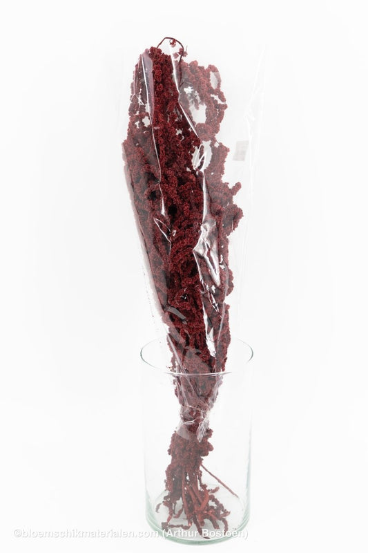 AMARANTHUS CAUDATUS GECONSERVEERD BORDEAUX - bloemschikmaterialen.com