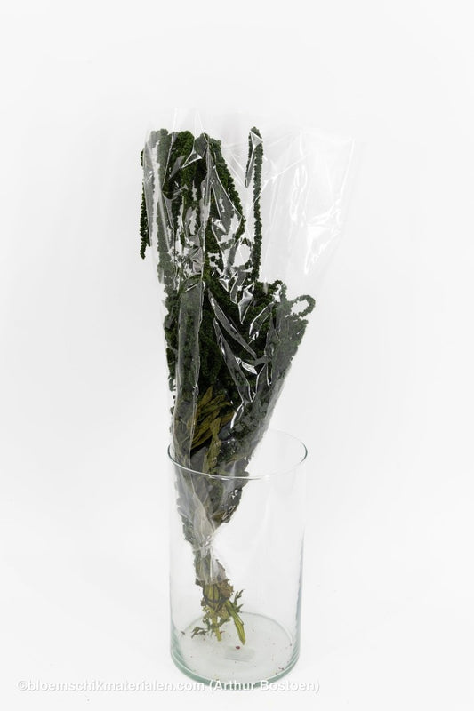 AMARANTHUS CAUDATUS GECONSERVEERD MOSGROEN - bloemschikmaterialen.com
