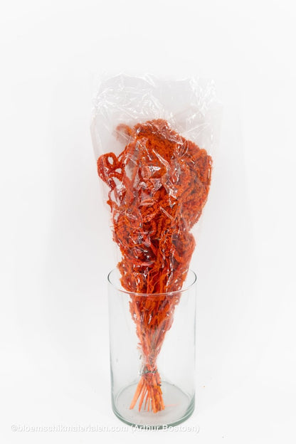 AMARANTHUS CAUDATUS GECONSERVEERD ROOD - bloemschikmaterialen.com