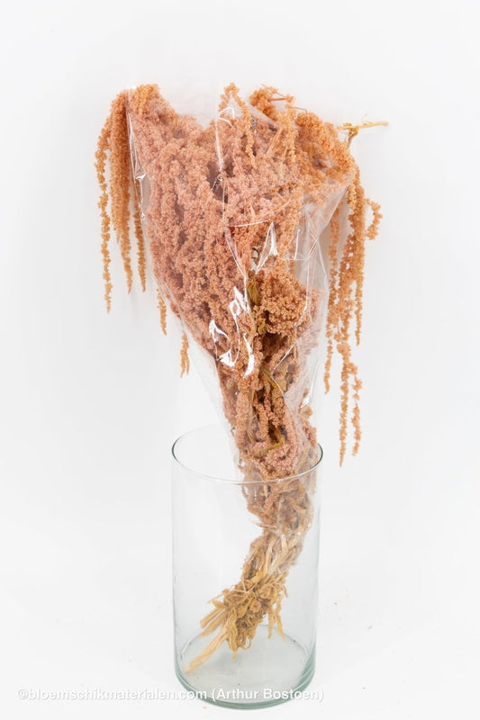 AMARANTHUS CAUDATUS GECONSERVEERD ROZE - bloemschikmaterialen.com