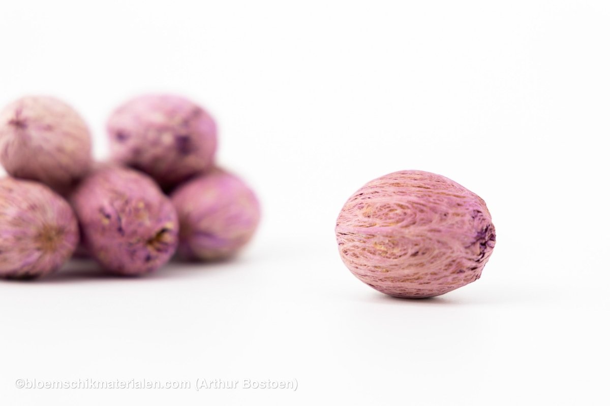AMRA PODS AMETHYST (100 gr) - bloemschikmaterialen.com