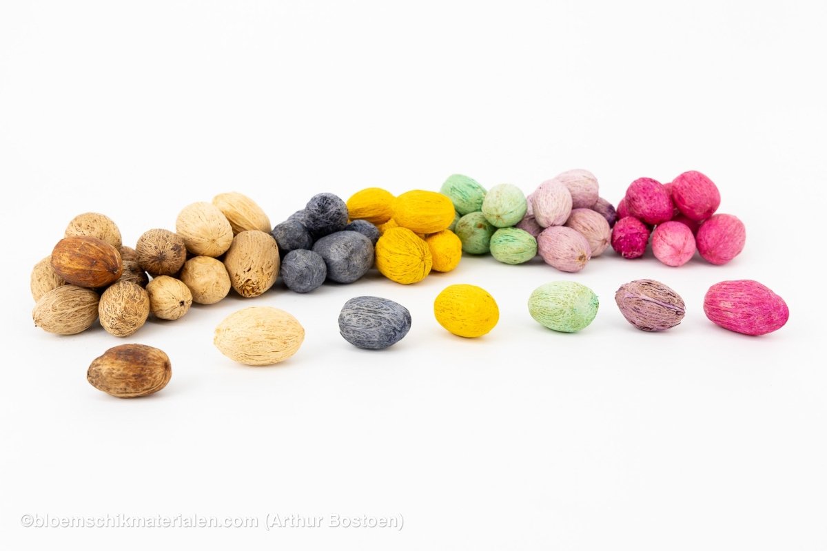 AMRA PODS GEBLEEKT (100 gr) - bloemschikmaterialen.com