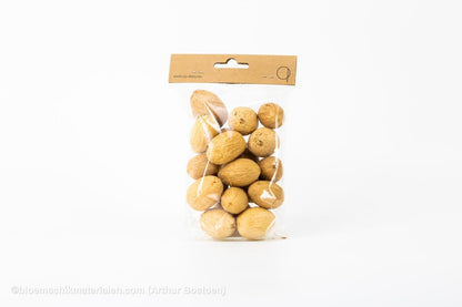 AMRA PODS GEBLEEKT (100 gr) - bloemschikmaterialen.com