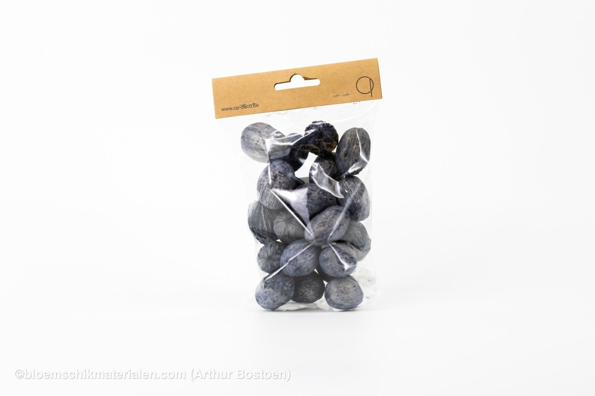 AMRA PODS GRIJS (100 gr) - bloemschikmaterialen.com