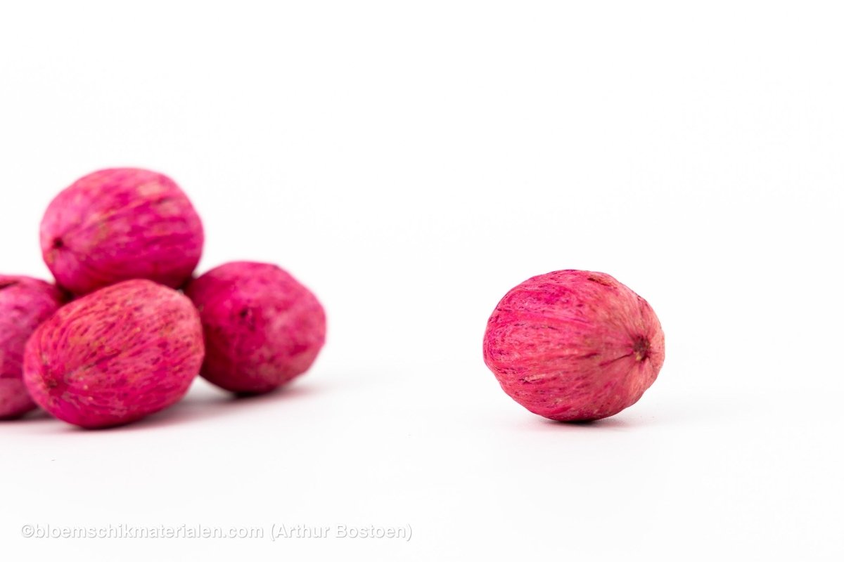 AMRA PODS ROOS (100 gr) - bloemschikmaterialen.com