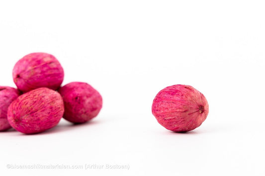 AMRA PODS ROOS (100 gr) - bloemschikmaterialen.com