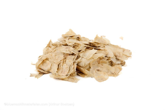 ANGEL WINGS NATUREL +/ - 500GR - bloemschikmaterialen.com