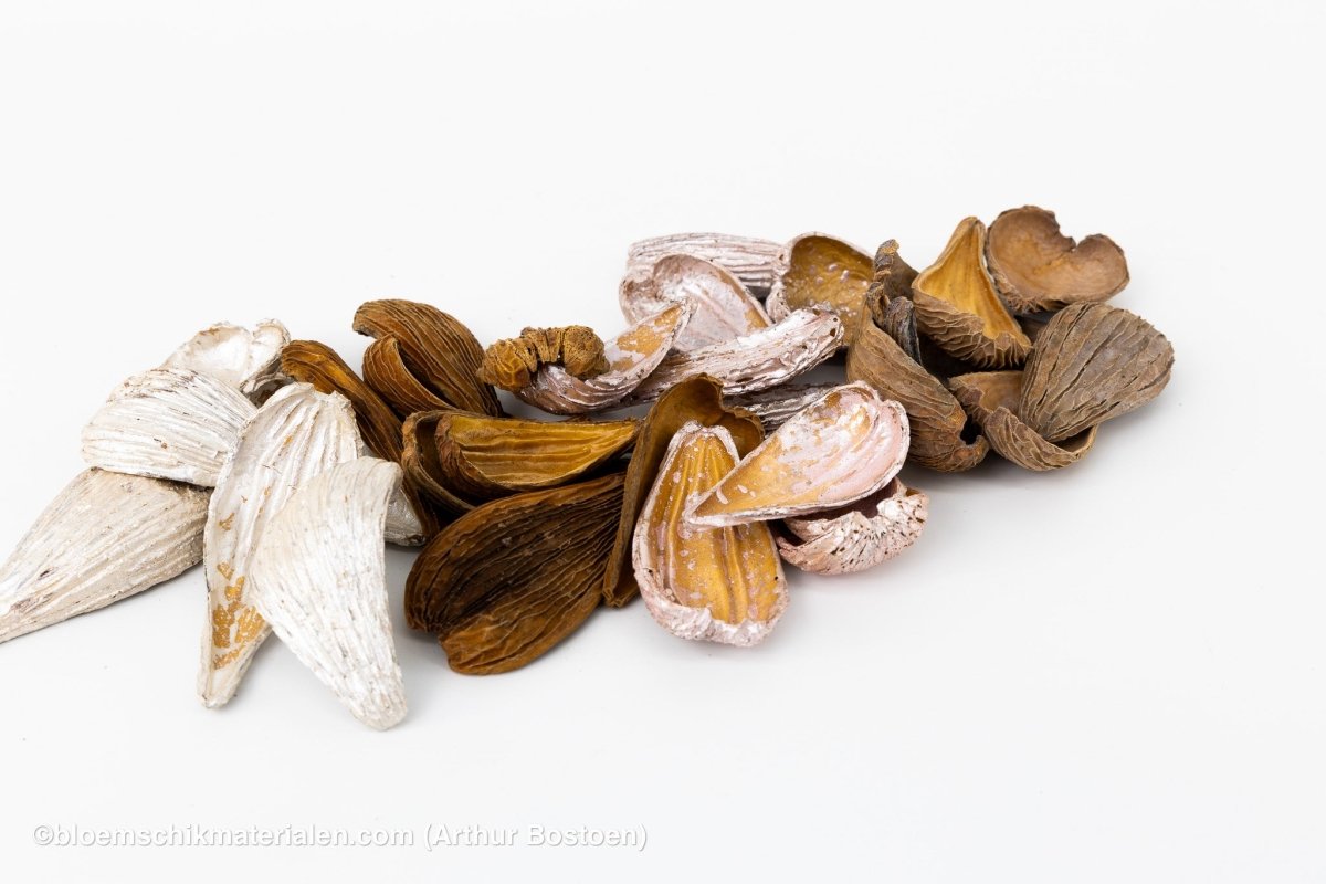 ARTI PODS NATUREL - bloemschikmaterialen.com