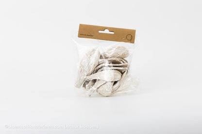 ARTI PODS PEARL WHITE - bloemschikmaterialen.com