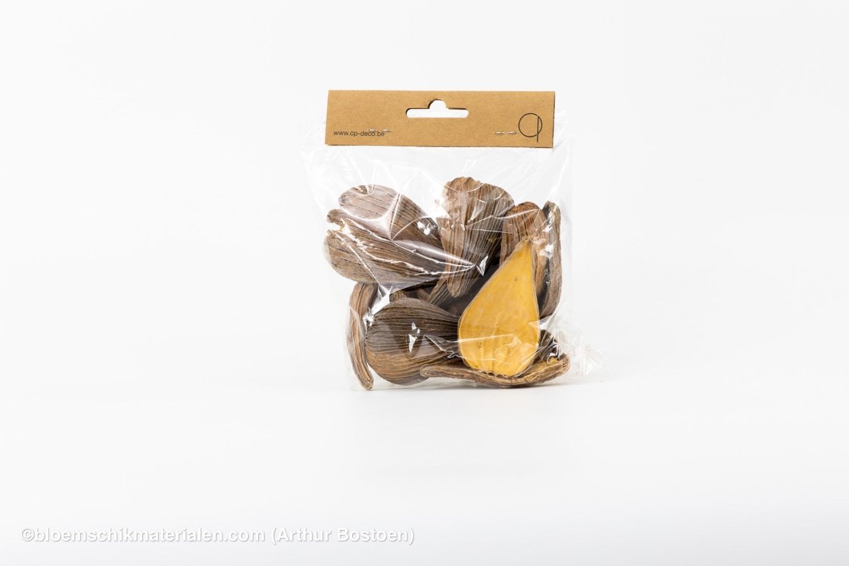 ARTI PODS WHITE WASH - bloemschikmaterialen.com