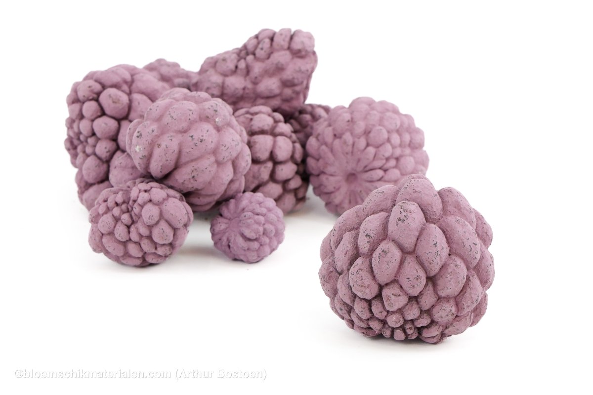 ATA FRUIT BLACKBERRY +/ - 1KG - bloemschikmaterialen.com