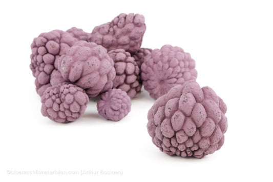 ATA FRUIT BLACKBERRY +/ - 1KG - bloemschikmaterialen.com