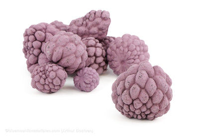 ATA FRUIT BLACKBERRY +/-150gr