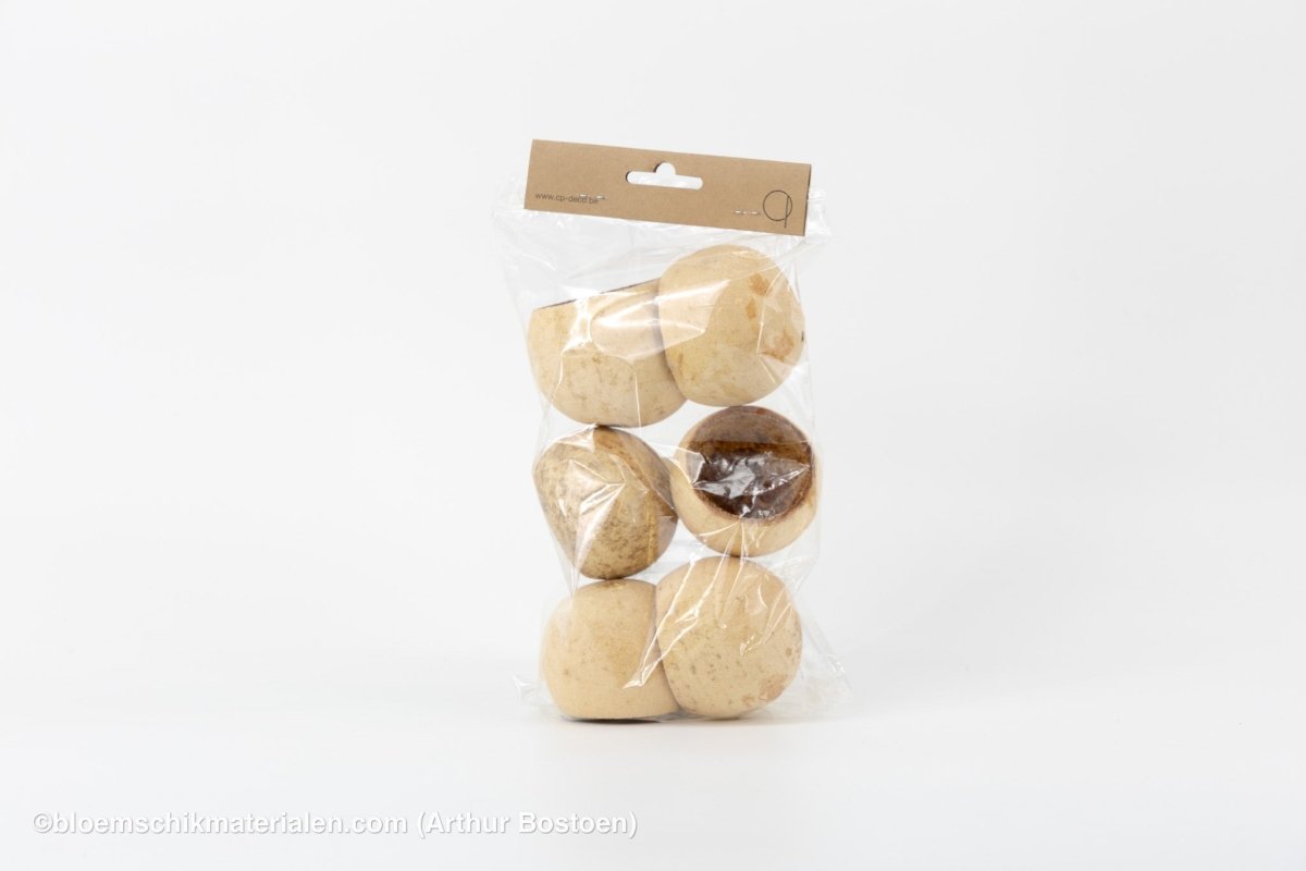 BELL CUP NATUREL (6 stuks) - bloemschikmaterialen.com