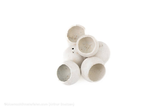 BELL CUP WHITE WASH (6 stuks) - bloemschikmaterialen.com