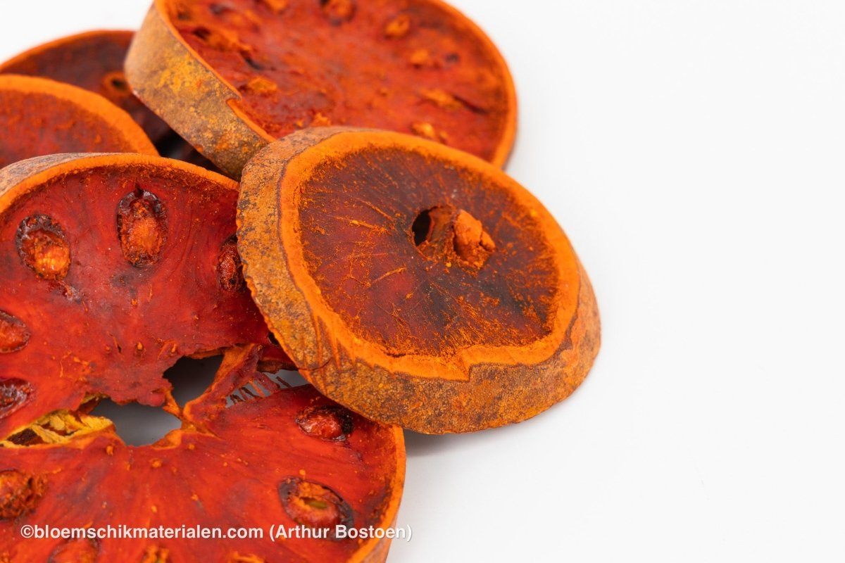 BELL SLICES (+/ - 100GR) - bloemschikmaterialen.com