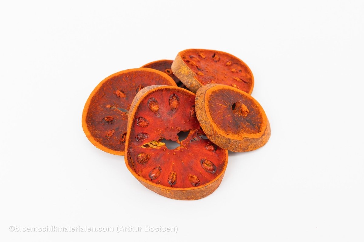 BELL SLICES (+/ - 100GR) - bloemschikmaterialen.com
