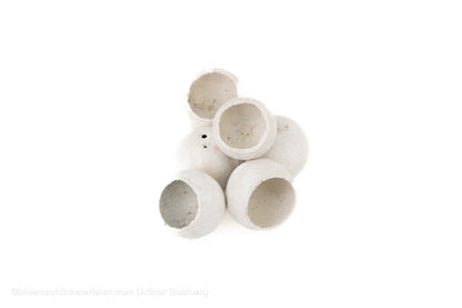 BELL CUP WHITE WASH (6 stuks)