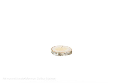 BERKENSCHIJF +/ - 15CM +/ - 2CM NATUREL - bloemschikmaterialen.com