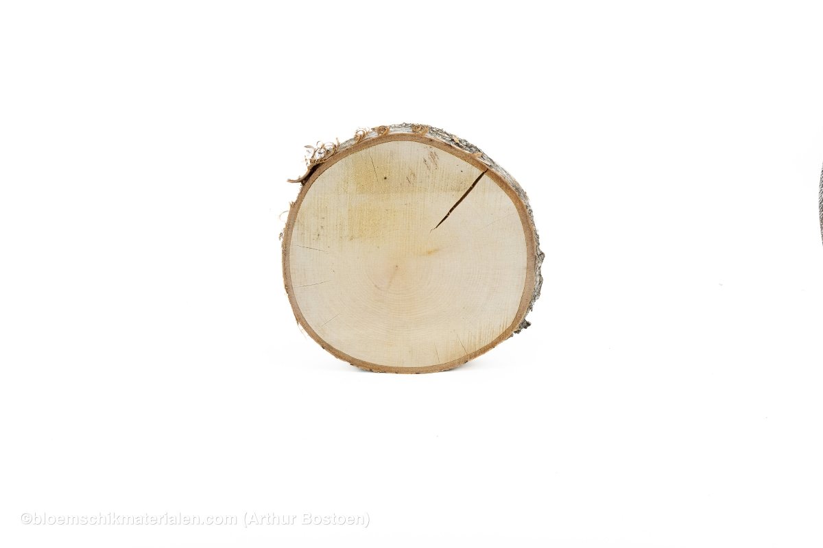 BERKENSCHIJF +/ - 25CM +/ - 2.5CM NATUREL - bloemschikmaterialen.com