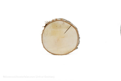 BERKENSCHIJF +/ - 25CM +/ - 2.5CM NATUREL - bloemschikmaterialen.com