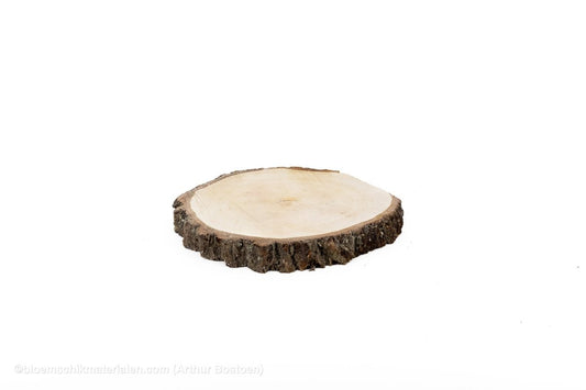 BERKENSCHIJF +/ - 40CM +/ - 4CM NATUREL - bloemschikmaterialen.com
