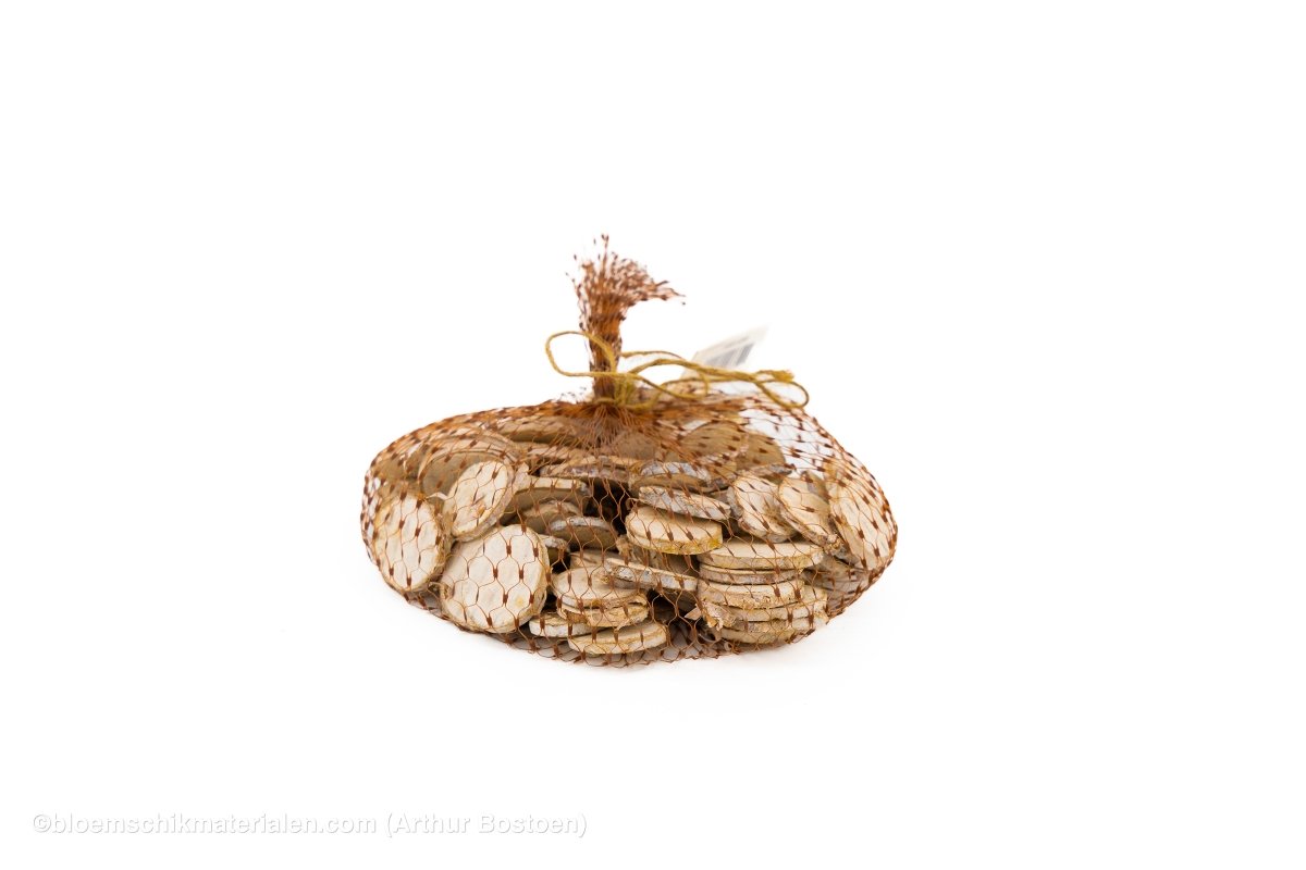 BERKENSCHIJFJES MINI NATUREL +/ - 250GR - bloemschikmaterialen.com