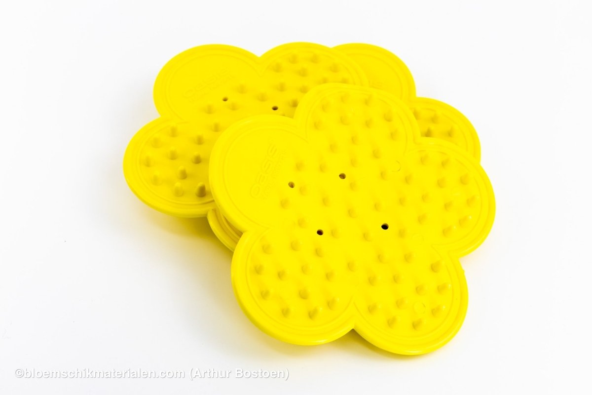 BLAD & ONTDOORNER (3 STUKS) (OASIS) - bloemschikmaterialen.com