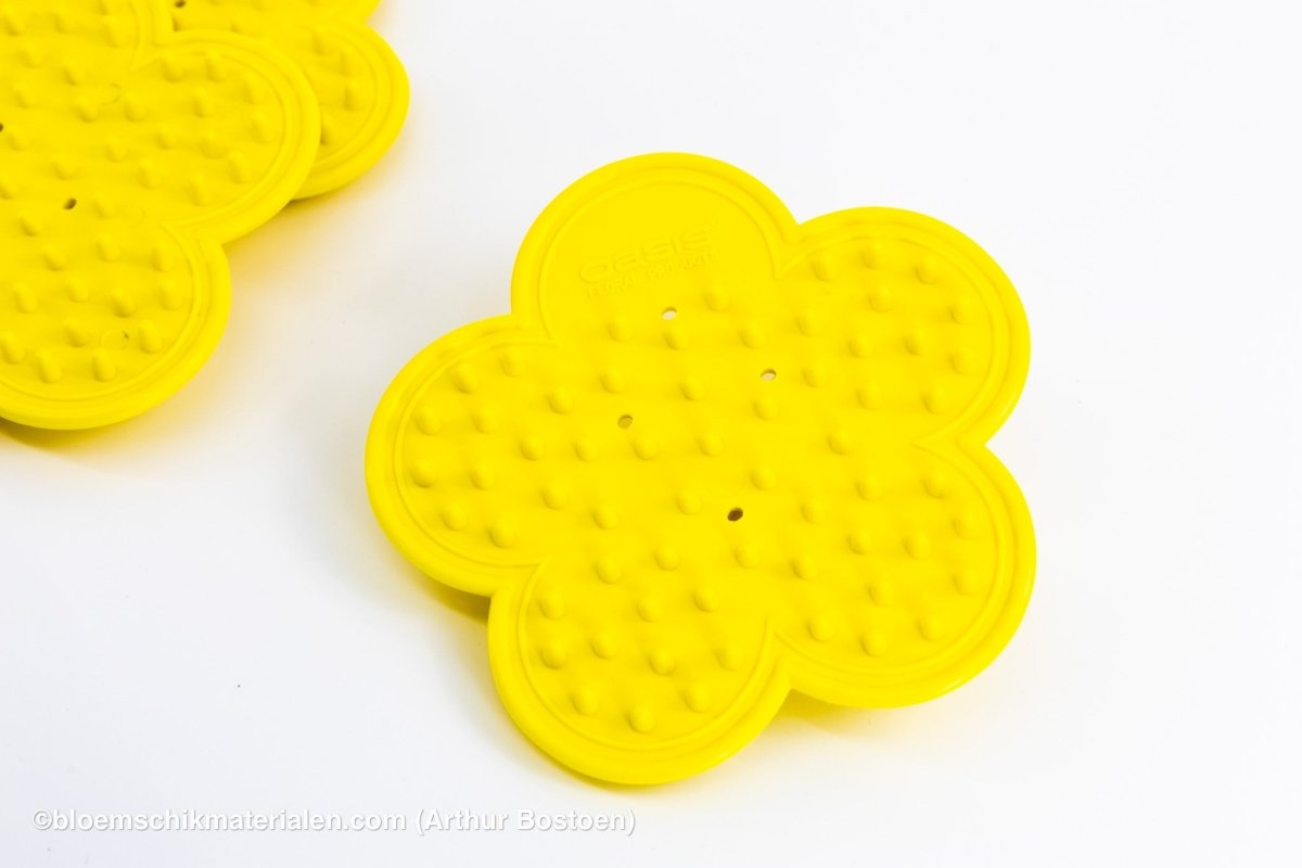 BLAD & ONTDOORNER (3 STUKS) (OASIS) - bloemschikmaterialen.com