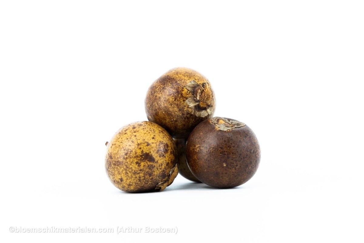 BOHLA NATUREL (5 stuks) - bloemschikmaterialen.com