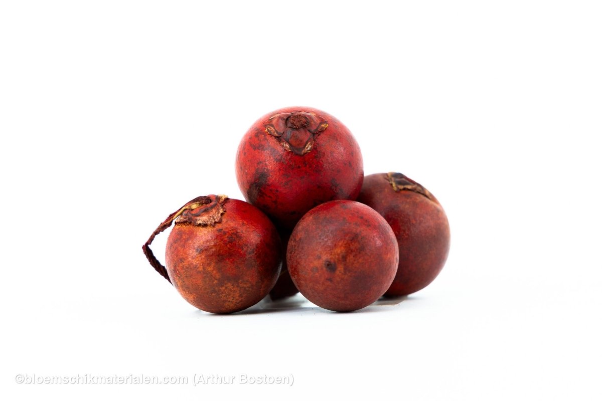 BOHLA ROOD (5 stuks) - bloemschikmaterialen.com