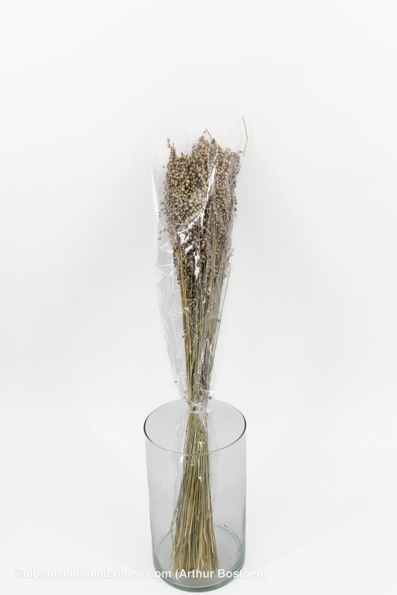 BRIZA MINIMA NATUREL GROEN +/ - 100GR - bloemschikmaterialen.com