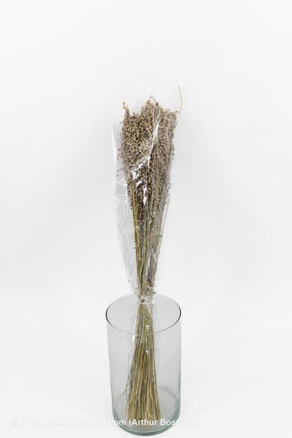 BRIZA MINIMA NATUREL GROEN +/ - 100GR - bloemschikmaterialen.com