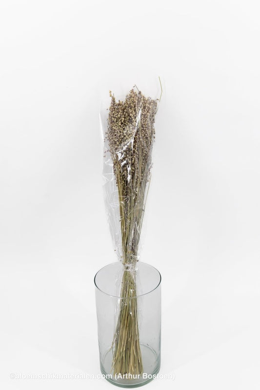 BRIZA MINIMA NATUREL GROEN +/ - 100GR - bloemschikmaterialen.com