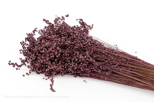 BRIZA MINIMA OUDROZE +/ - 100GR - bloemschikmaterialen.com