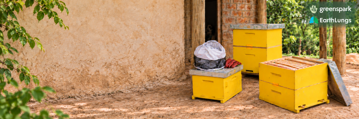Gele bijenkasten met imkermateriaal voor het bijenproject