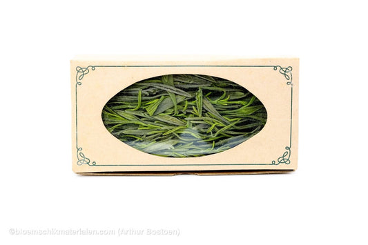 BUSH LAVENDER GROEN - bloemschikmaterialen.com