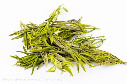 BUSH LAVENDER GROEN - bloemschikmaterialen.com