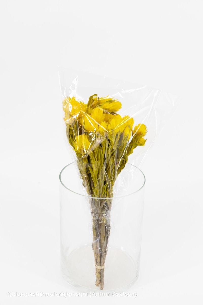 CAPBLUMEN LARGE 30CM GEEL +/ - 50GR - bloemschikmaterialen.com