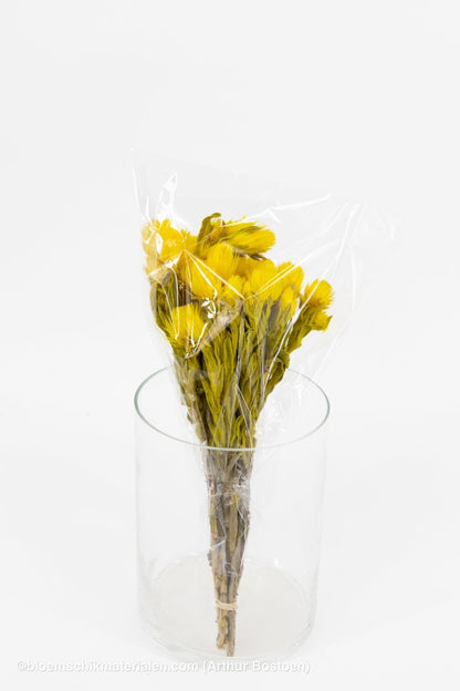 CAPBLUMEN LARGE 30CM GEEL +/ - 50GR - bloemschikmaterialen.com