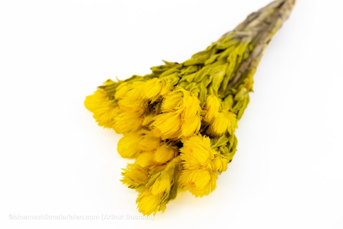 CAPBLUMEN LARGE 30CM GEEL +/ - 50GR - bloemschikmaterialen.com