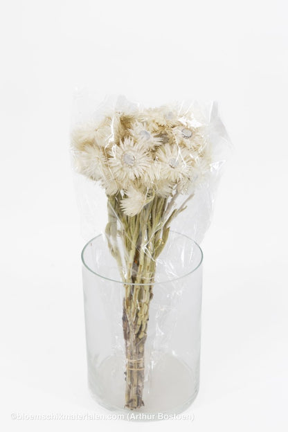 CAPBLUMEN LARGE 30CM NATUREL +/ - 50GR - bloemschikmaterialen.com