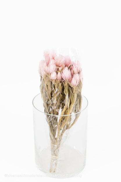 CAPBLUMEN LARGE 30CM ROZE +/ - 50GR - bloemschikmaterialen.com