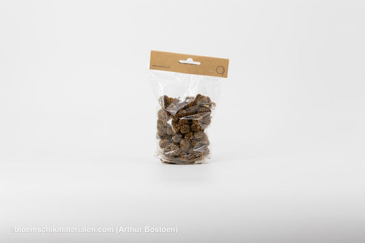 CASURINA GOUD (75GR) - bloemschikmaterialen.com