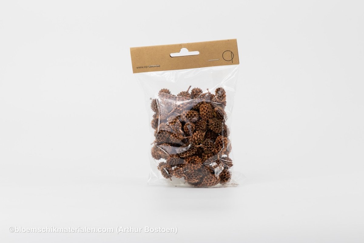 CASURINA KOPER (75GR) - bloemschikmaterialen.com